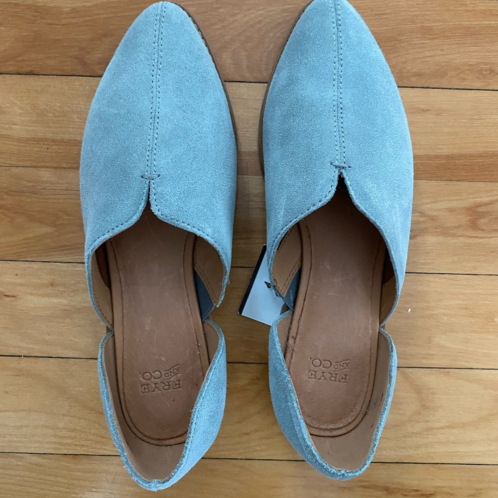 Frye & Co blue shoes